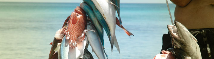 Pesca en playa Magallan