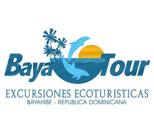  Baya Tours