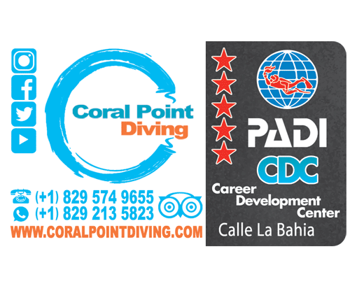 Coral Point Diving